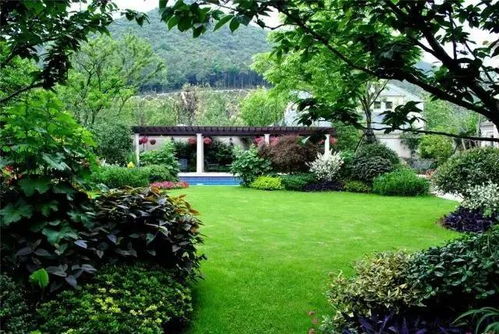 園林景觀設計入門指南 小白輕松上手的設計思路與實踐